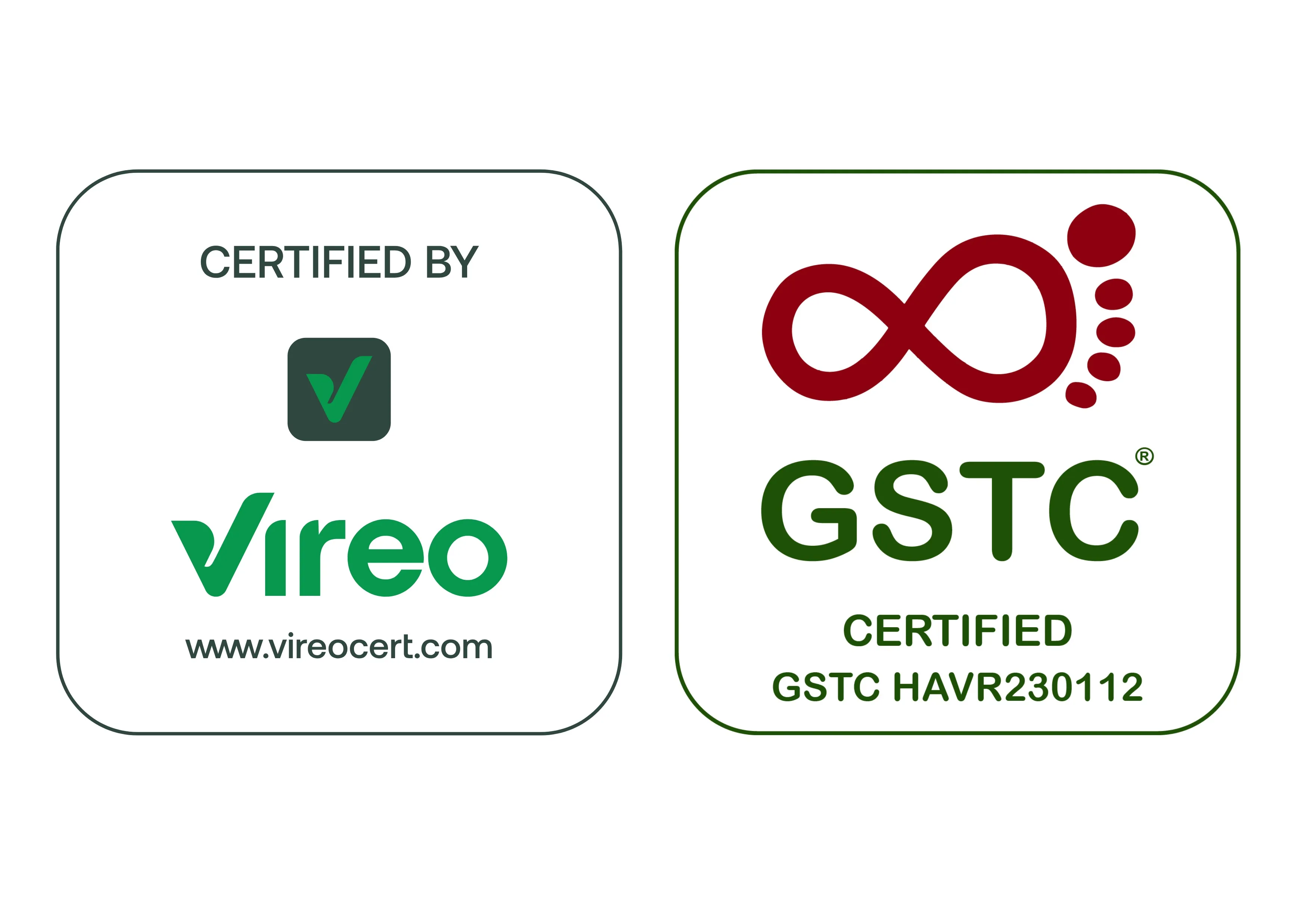 Logo GSTC Vireo